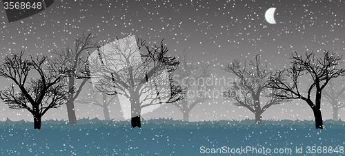 Image of forest in the dark mist, snow, trees silhouettes