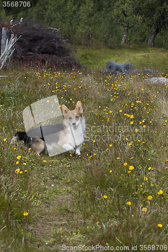 Image of happy walking