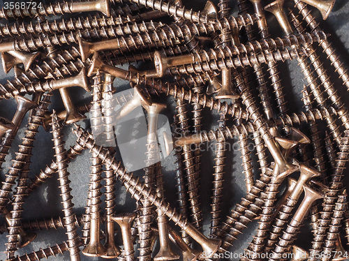 Image of Wood screw