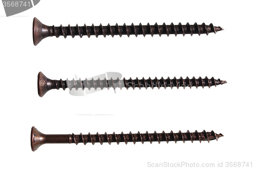 Image of Wood screw isolated