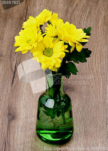 Image of Yellow Chrysanthemum