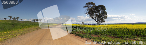 Image of On the road less travelled Canowindra Australia