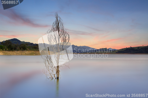 Image of Wyangala Waters Australia