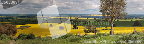 Image of Rural farmlands panorama