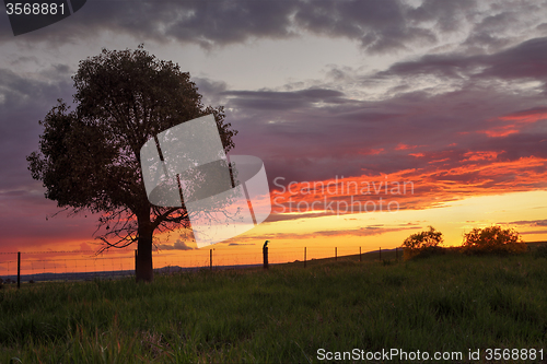 Image of Sunset Greenthorpe Australia