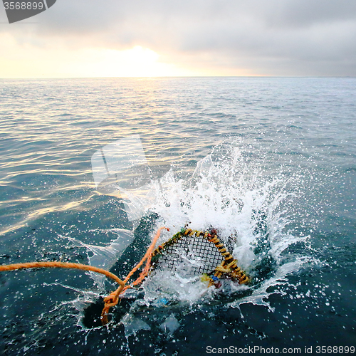 Image of Splashing creel in the sea at dawn