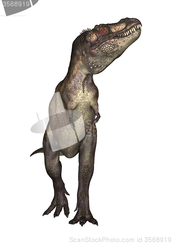 Image of Dinosaur Tyrannosaurus