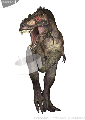 Image of Dinosaur Tyrannosaurus