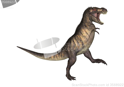 Image of Dinosaur Tyrannosaurus