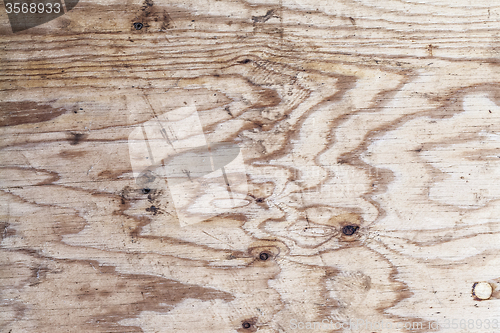 Image of Texture of wood background closeup