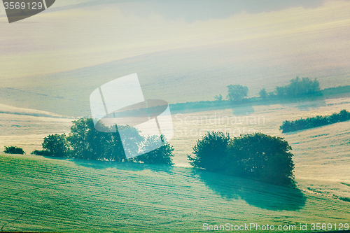 Image of Moravian rolling fields in morning mist