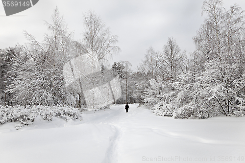 Image of Winter alley