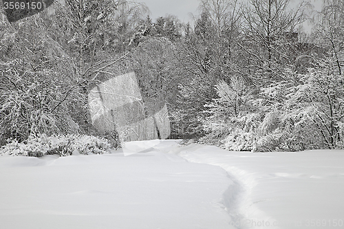 Image of Winter alley