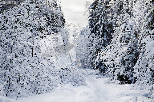 Image of Winter alley