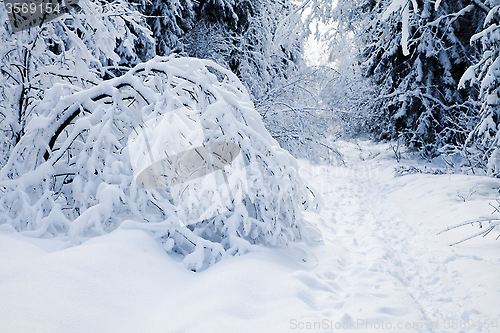 Image of Winter alley