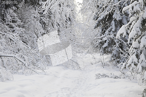 Image of Winter alley