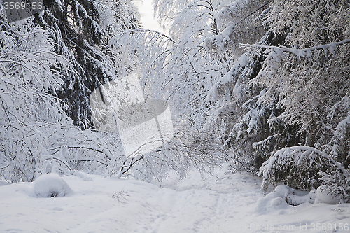 Image of Winter alley