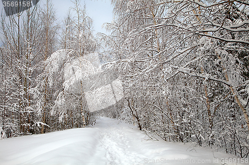 Image of Winter alley