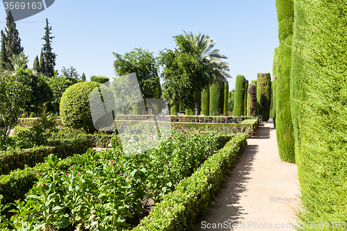 Image of Italian Garden