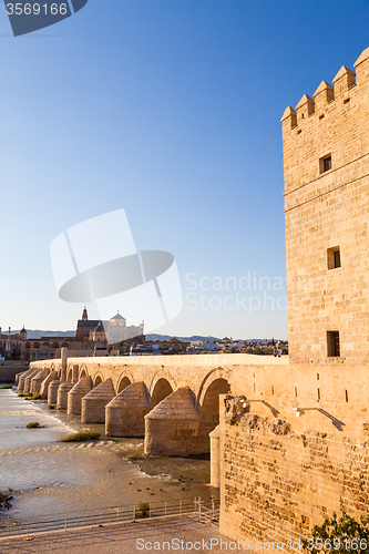 Image of Roman Bridge of Cordoba