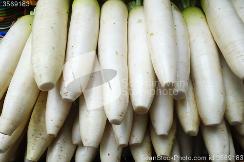 Image of Ripe white radish root 
