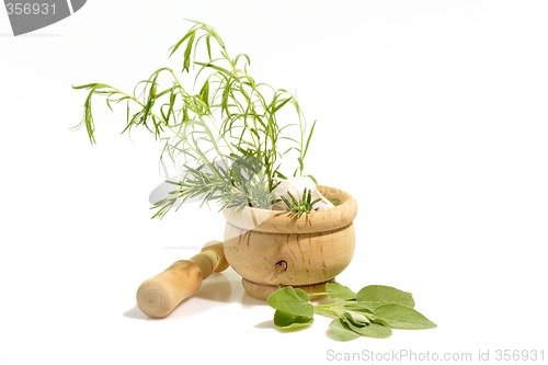 Image of Mortar with Herbs