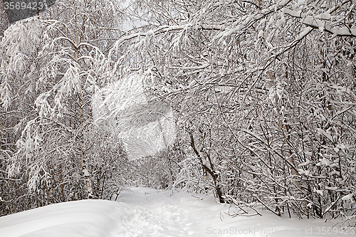 Image of Winter alley