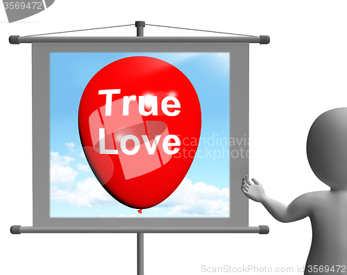 Image of True Love Sign Represents Lovers and Couples