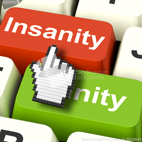 Image of Insanity Sanity Keys Shows Sane And Insane Psychology