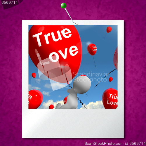 Image of True Love Balloons Photo Represents Couples and Lovers