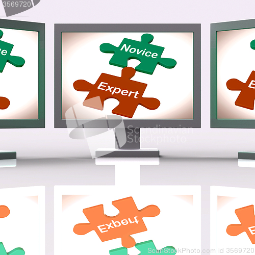 Image of Novice Expert Puzzle Screen Shows Unskilled And Professional