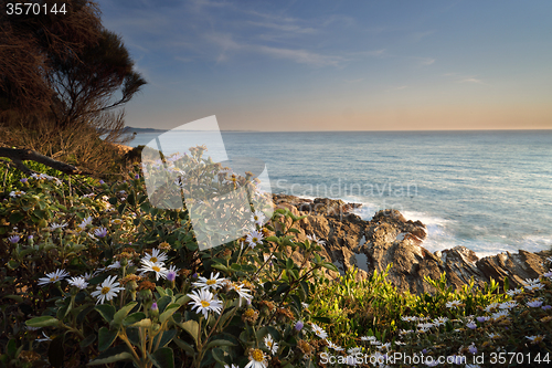 Image of Bermagui Coastline