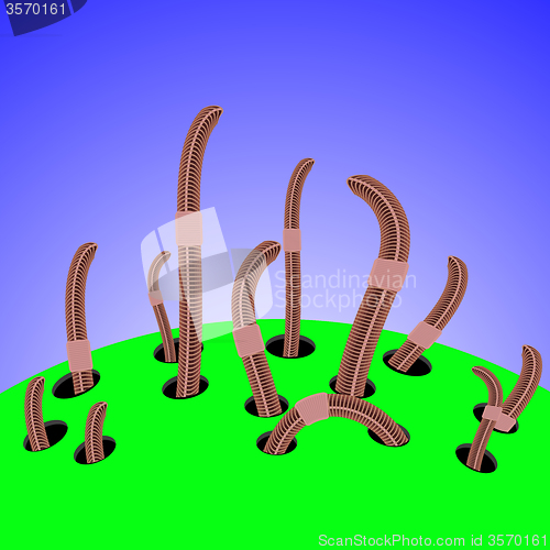Image of Red Worms Climbs