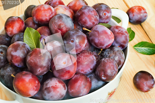 Image of Large plum in a ceramic vase on the table.