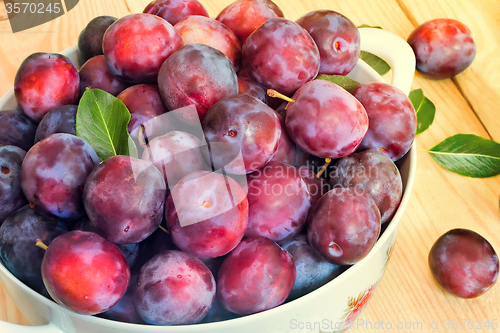 Image of Large plum in a ceramic vase on the table.
