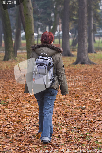 Image of Autumn walk