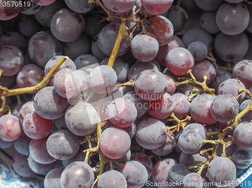 Image of Red grape fruits