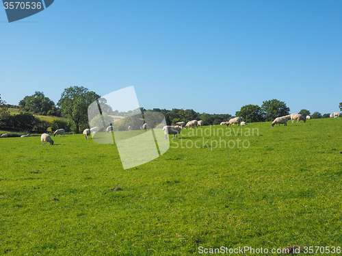 Image of View of Tanworth in Arden