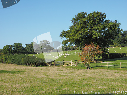 Image of View of Tanworth in Arden