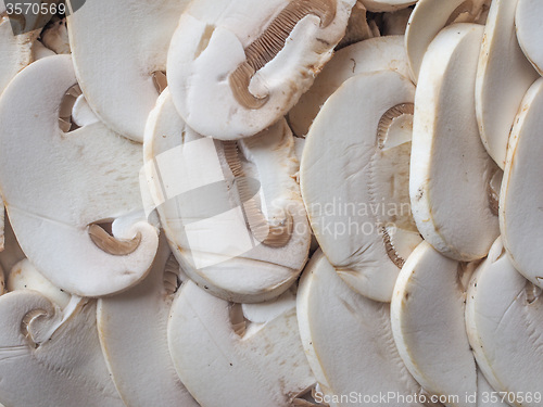 Image of Champignon mushrooms background