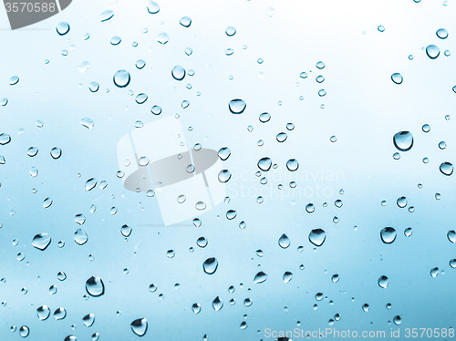 Image of Rain droplets