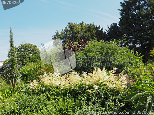 Image of St James Park in London