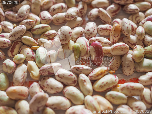 Image of Crimson beans vegetables background