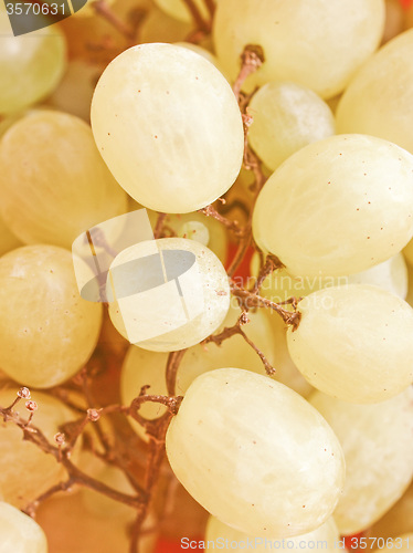 Image of Retro looking Grape