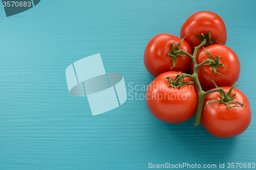 Image of Five tomatoes on the vine on a blue background