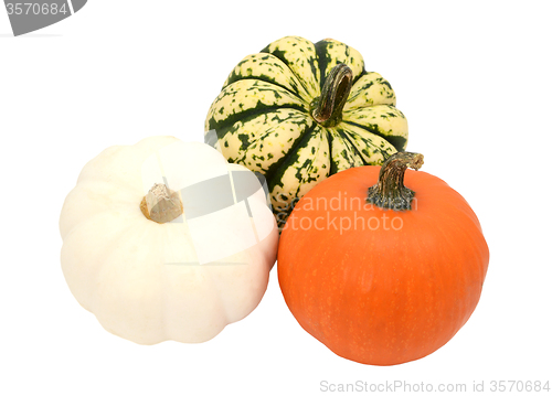 Image of Three small pumpkins - orange, white and green striped gourds