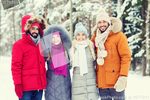Image of group of smiling men and women in winter forest