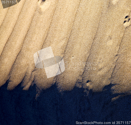 Image of in lanzarote  spain texture abstract of the beach 