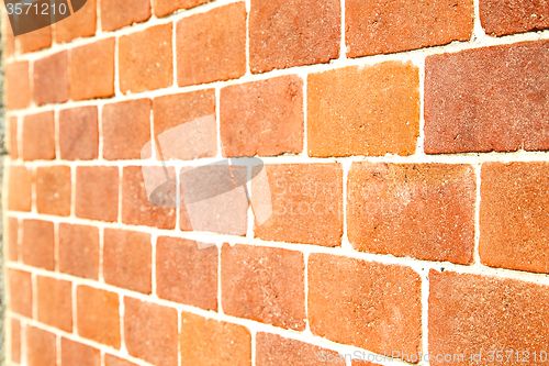 Image of brick in  italy old wall and  material the background