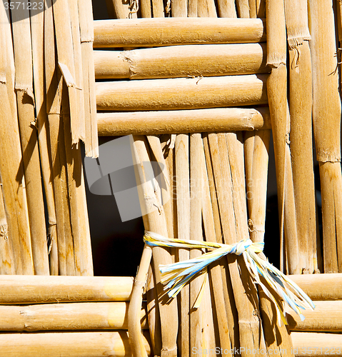 Image of texture bamboo in morocco africa brown natural line closeup